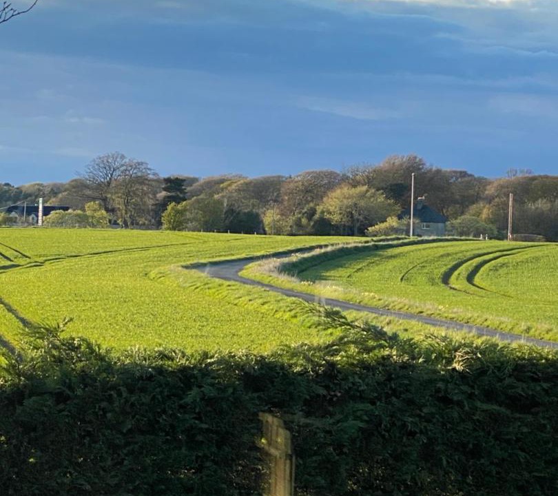 Photo of Others in Kirknewton