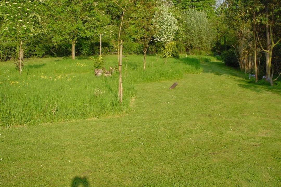 Photo of Others in High Easter