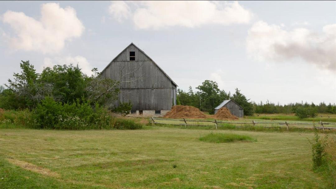 Photo of Others in Milford