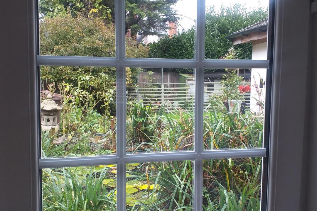 Photo of Others in Hull