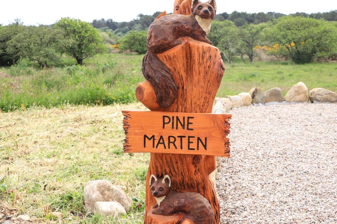 Photo of Others in Dornoch