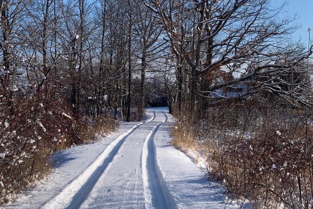 Photo of Others in Milford