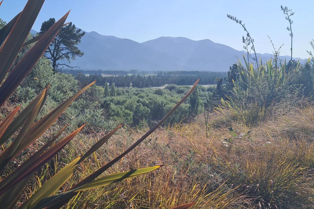 Photo of Outdoor in Hanmer Springs