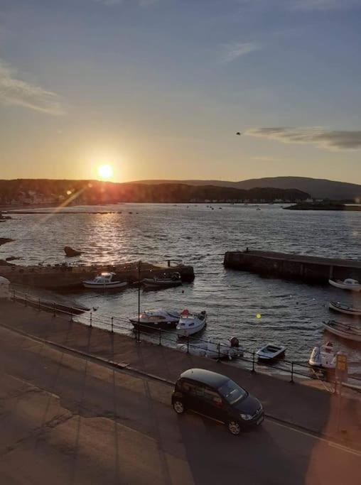 Photo of Others in Millport