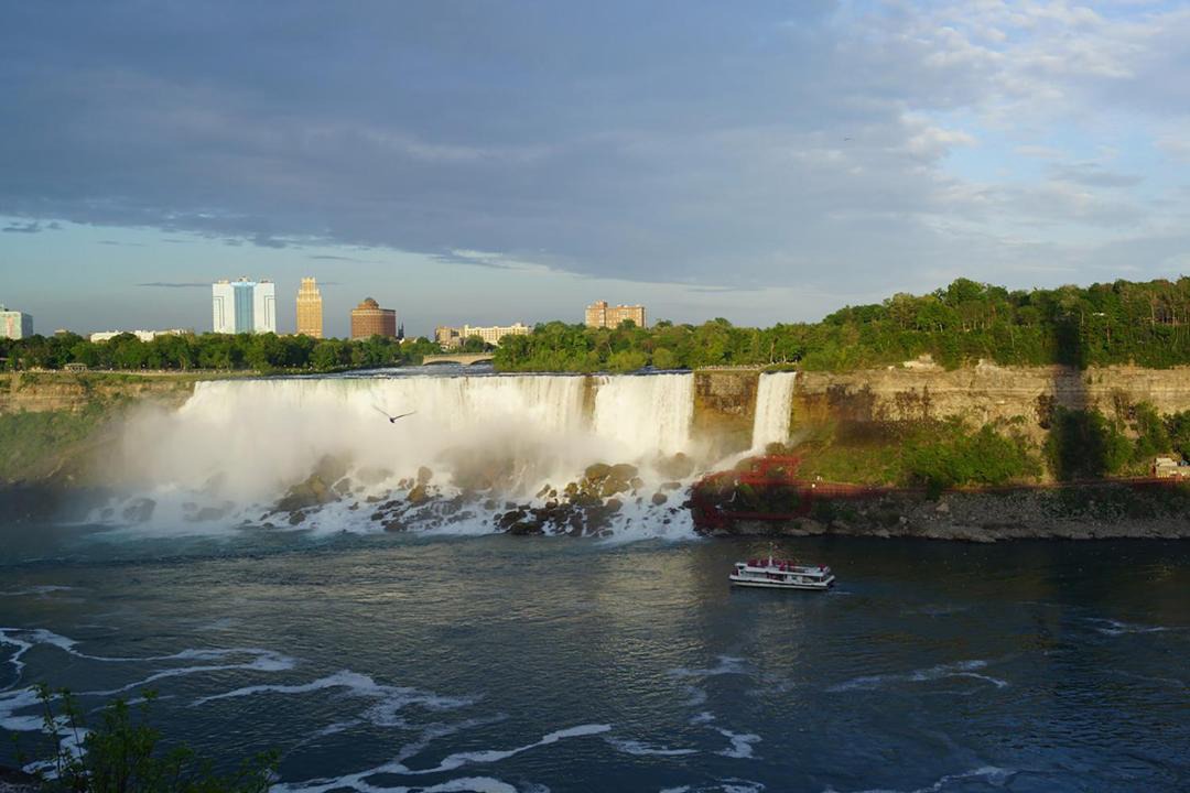 Photo of Others in Fort Erie