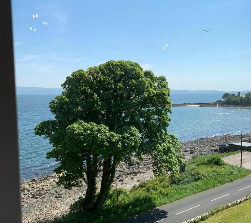 Photo of Others in Rothesay