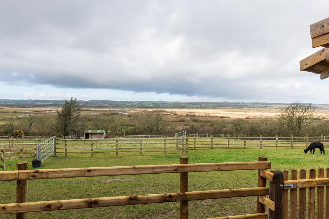 Photo of Others in Gaerwen