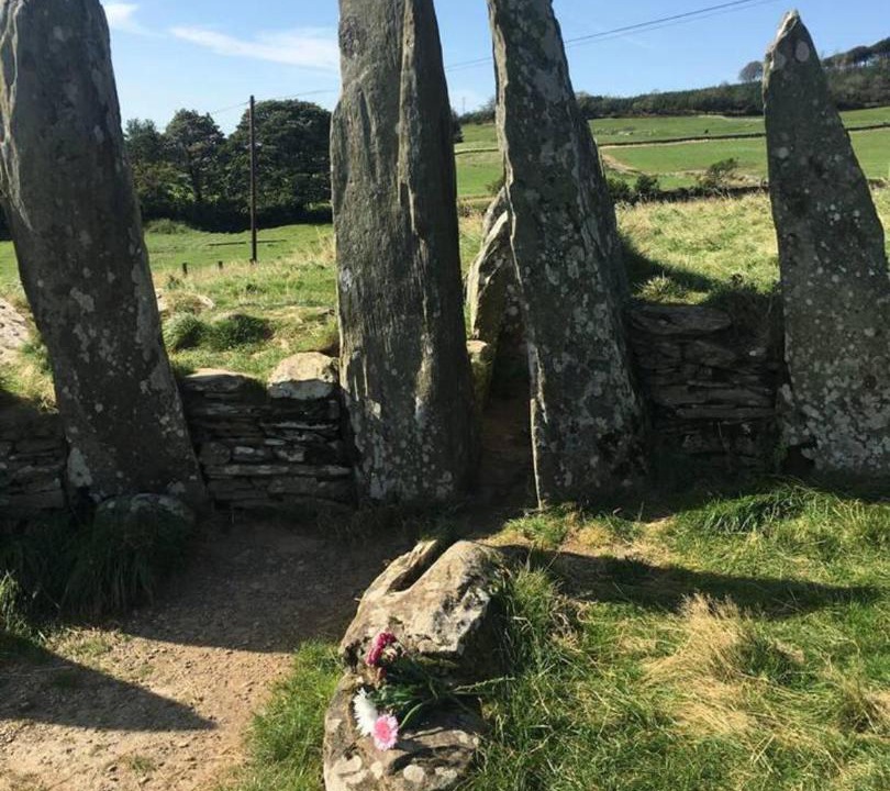 Photo of Others in Galloway Forest Park