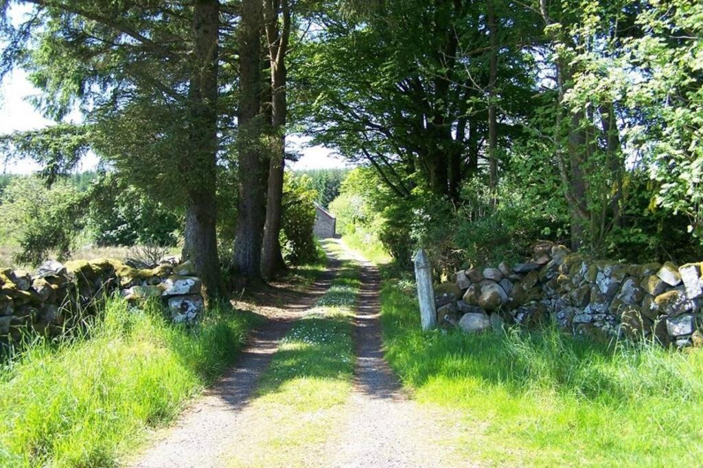 Photo of Others in Newton Stewart