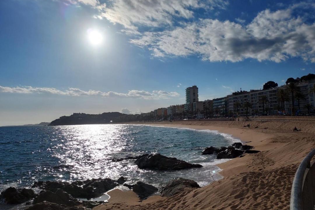 Photo of Others in Lloret Town Center