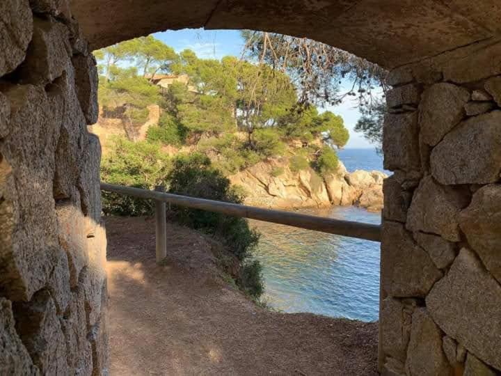 Photo of Others in Lloret Town Center