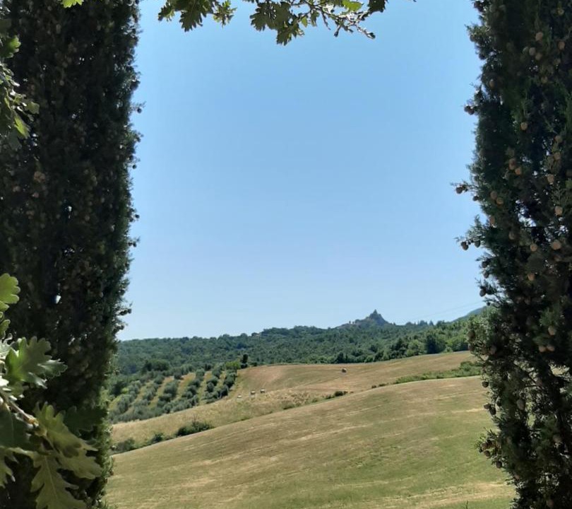 Photo of Others in Castiglione d'Orcia