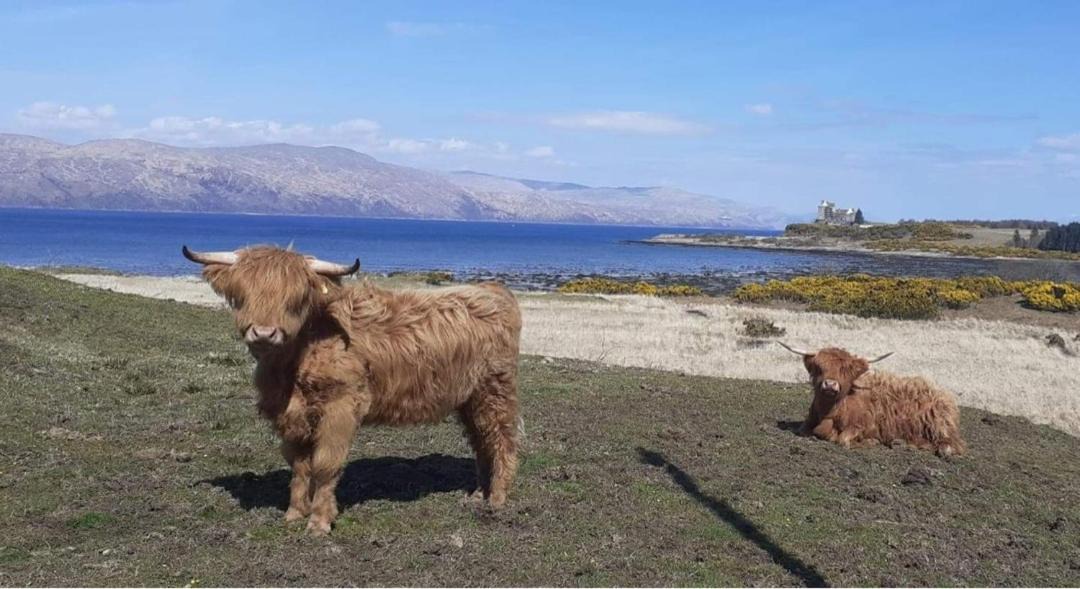 Photo of Others in Ulva