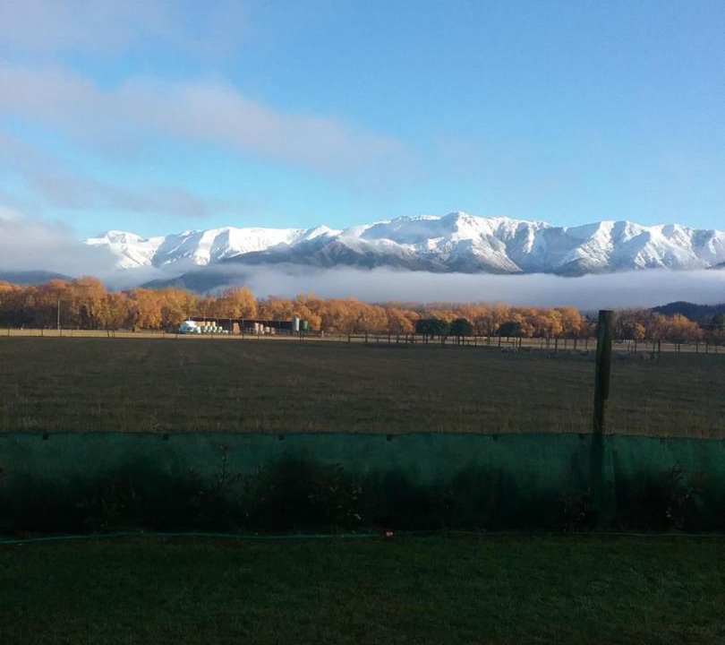 Photo of Others in Hanmer Springs