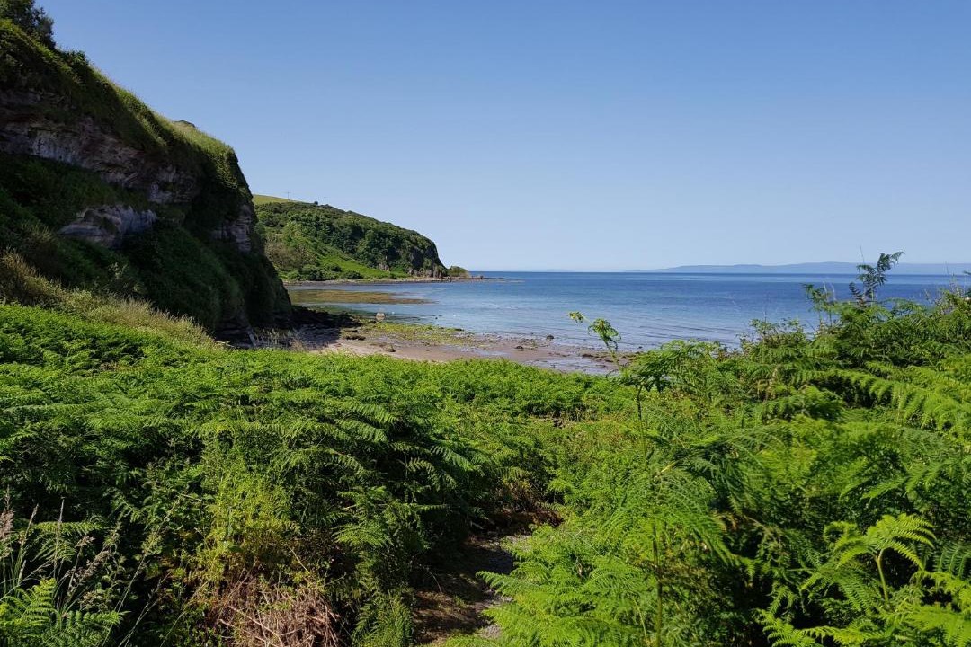 Photo of Outdoor in Alloway