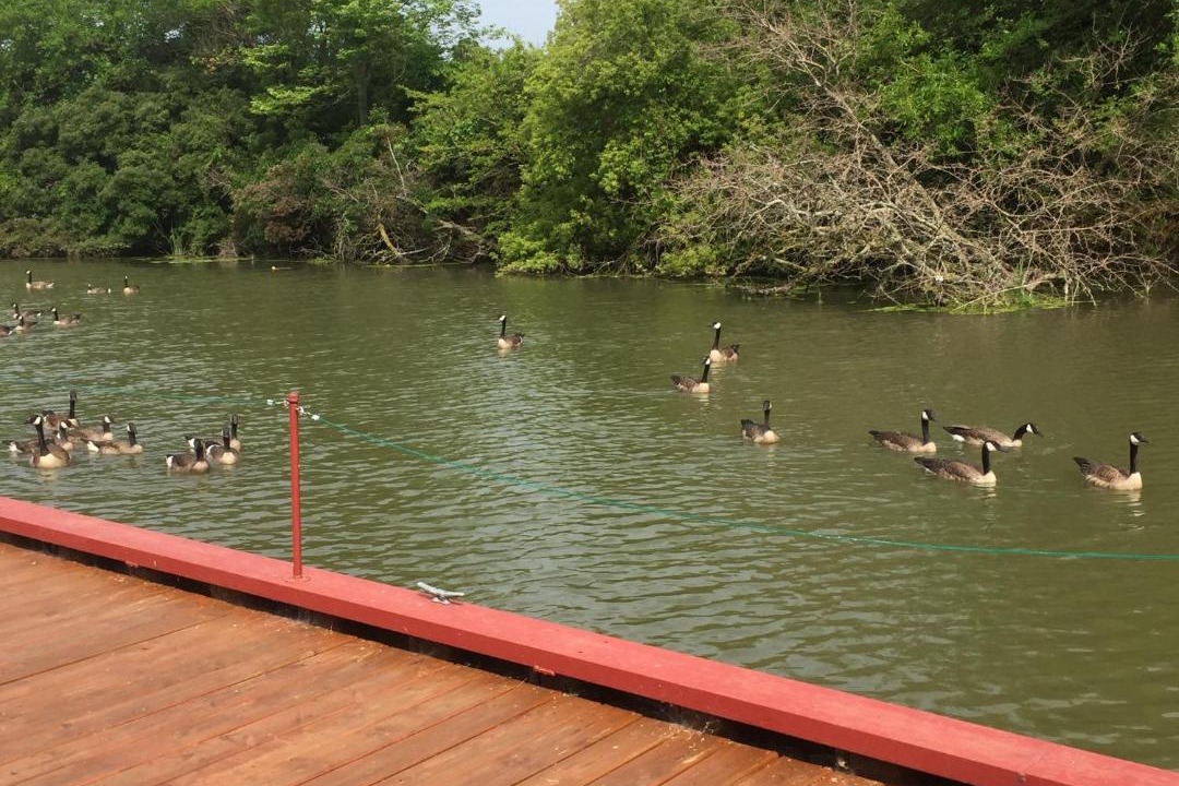 Photo of Others in Kingsville