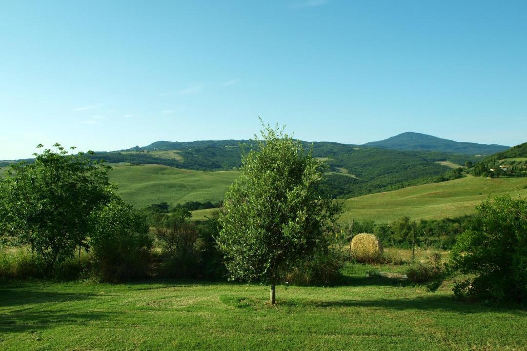 Photo of Others in Castiglione d'Orcia