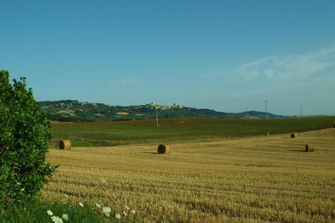 Photo of Others in Castiglione d'Orcia