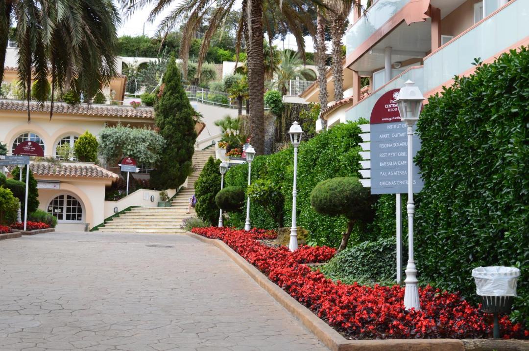 Photo of Others in Lloret Town Center