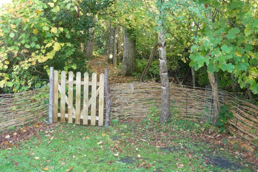 Photo of Others in Alloway