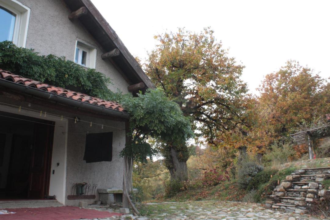 Photo of Buildings in Busalla