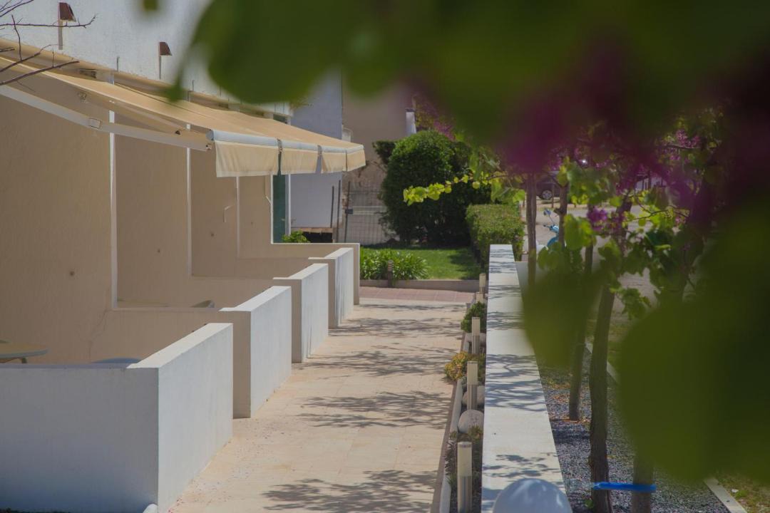 Photo of Others in Santa Margarida