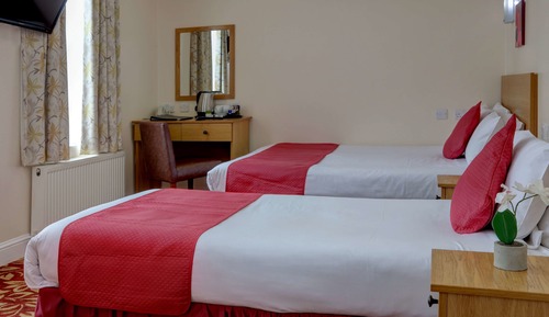 Standard Room, Multiple Beds, Non Smoking