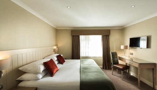 Room (Mews, King or Twin)