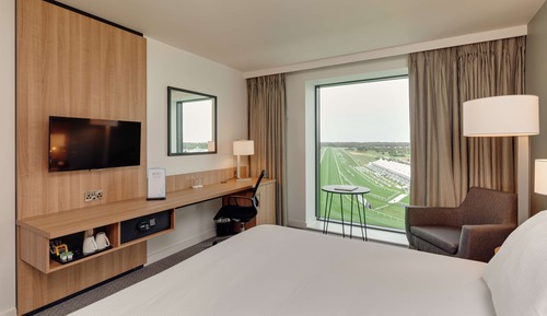 Room, 1 King Bed (Racecourse View)