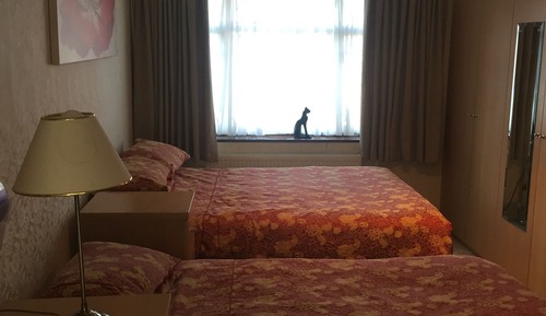 Comfort Single Room