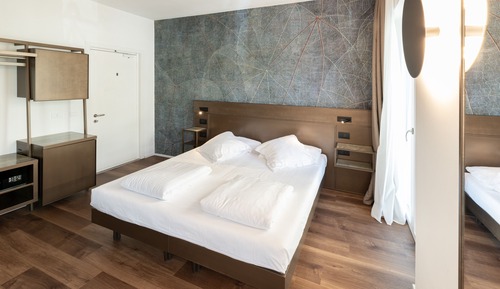 Standard Double Room, Balcony, Mountain View
