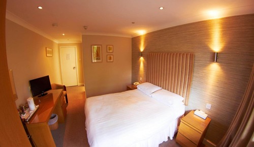 King Room