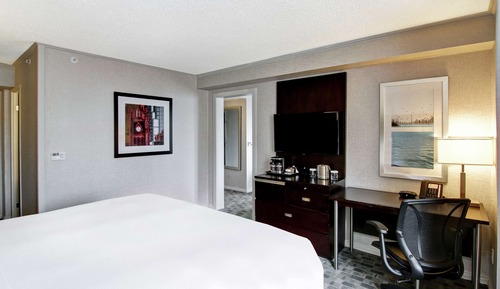 Suite, 1 King Bed with Sofa bed