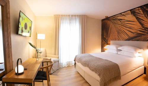 Premium Double Room