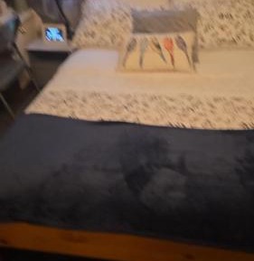 Double Room with Shared Bathroom