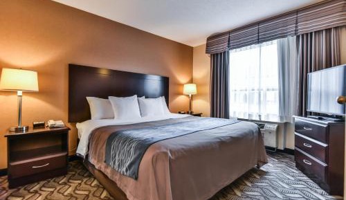 King Suite with Sofa Bed - Ground Floor/Non-Smoking/Pet Friendly