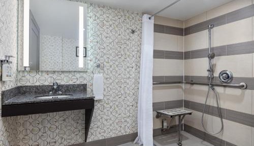 Standard Queen Room with Mobility Accessible Roll-In Shower