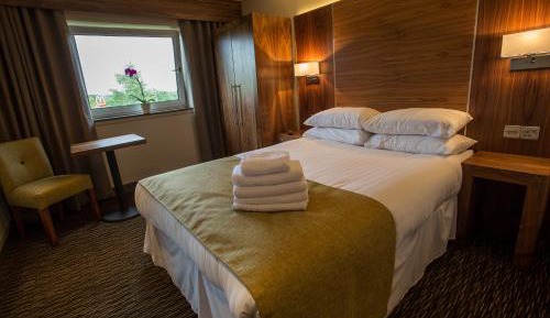 Comfort King Room