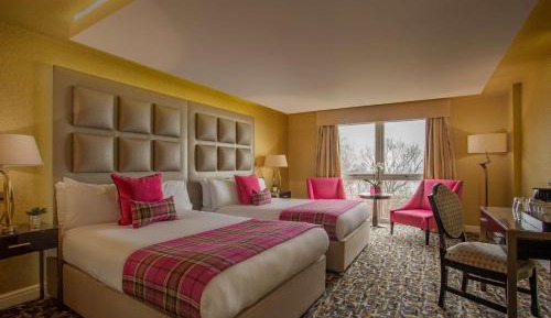 Executive Double Room with Two Double Beds