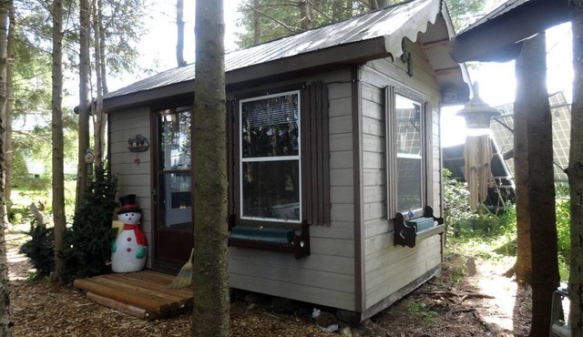 Cute Cozy Tiny House Surrounded by Trees for a Unique Couples Escape in Mt Forest, Ontario